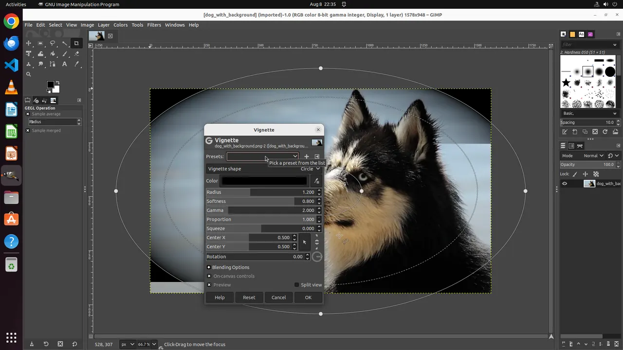 GIMP Vignette window opened by the computer-use agent